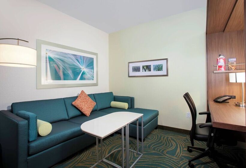 Люкс, Springhill Suites By Marriott Orlando At Flamingo Crossings Town Center Western Entrance