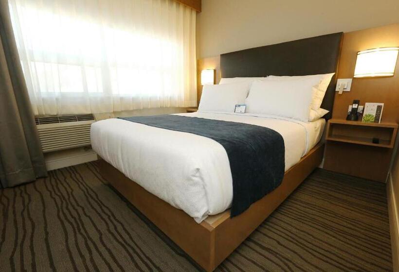 スタンダードスタジオ, Best Western Plus Sawridge Suites