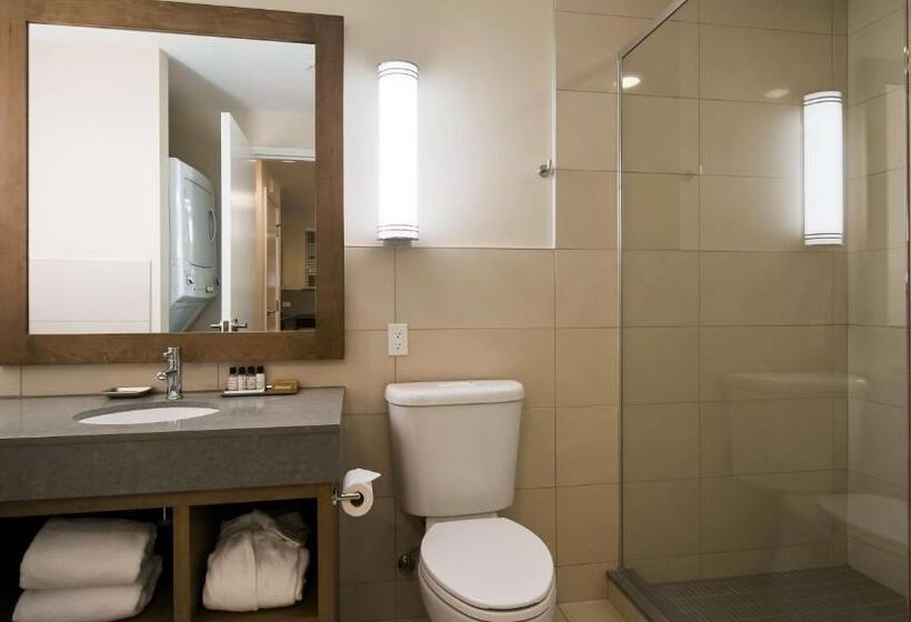 スタンダードルーム, Best Western Plus Sawridge Suites
