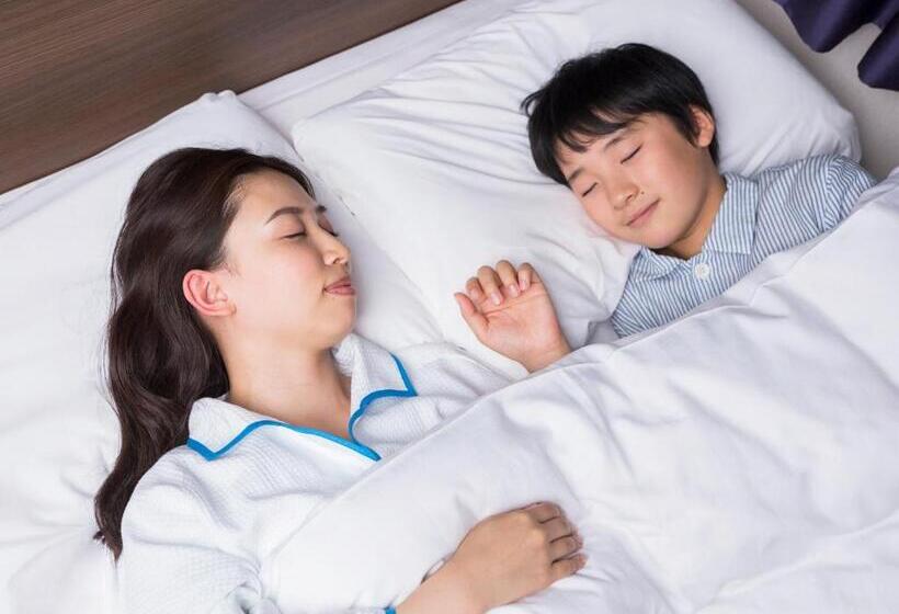 Номер Стандарт, Comfort Inn Ogaki