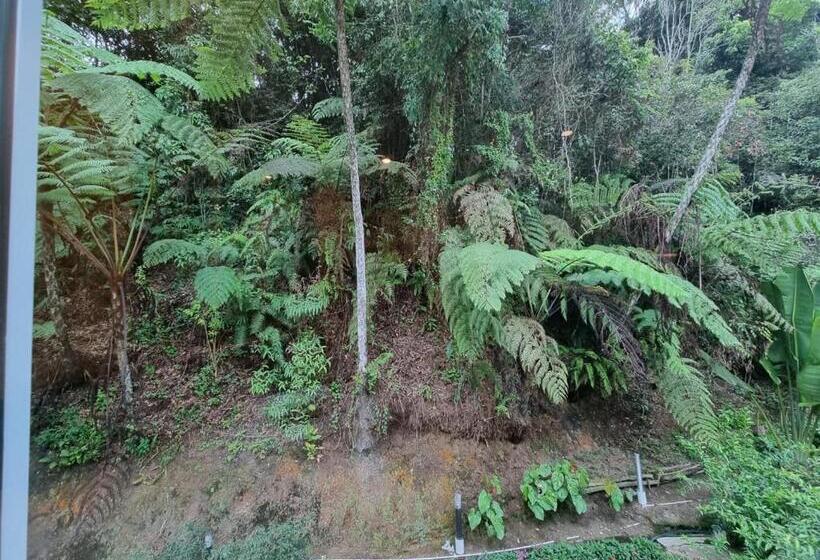 اتاق لوکس با تخت بزرگ, Arundina Cameron Highlands