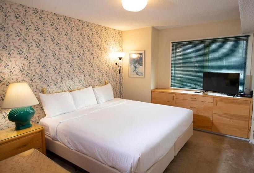 Апартаменты 1 Спальня, Mountain Lodge At Okemo