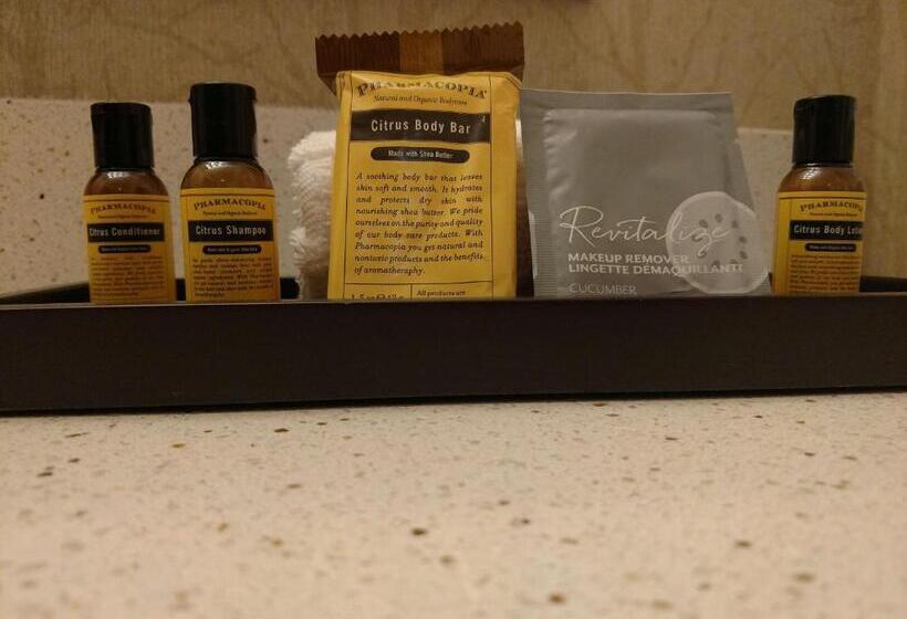Люкс, Best Western Plus Dayton