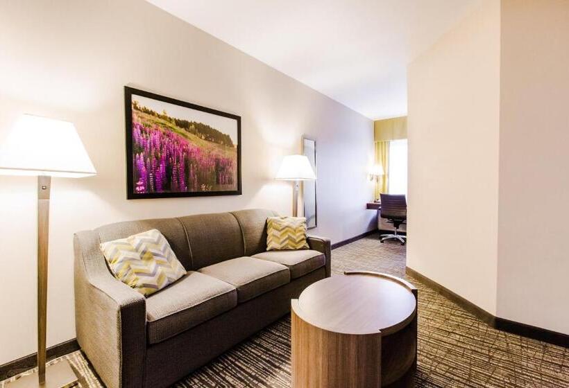 Люкс Кровать Кинг, Candlewood Suites West Edmonton   Mall Area, An Ihg