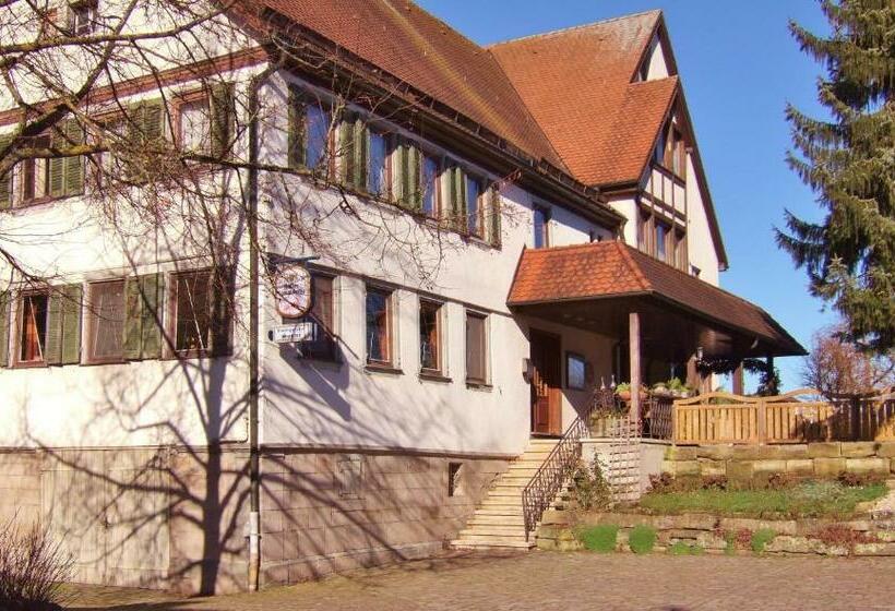 Номер Стандарт Индивидуальный, Landgasthof Sonne