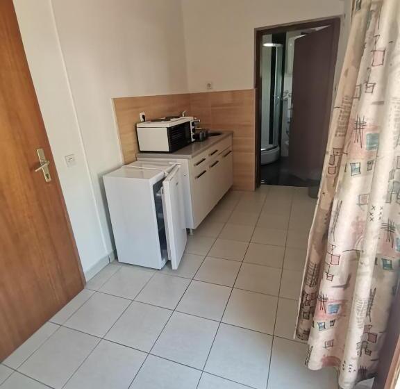 Standard studio with lake view, Guesthouse Zimovski