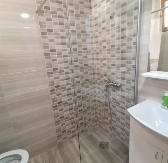 استودیوی استاندارد, Guesthouse Zimovski