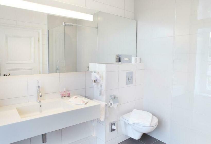 اتاق استاندارد یک نفره, Logis Hôtel Ettenheim