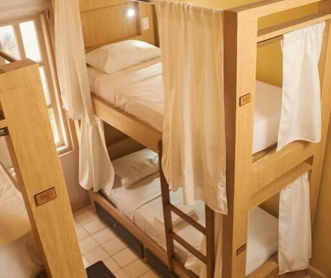 공동 객실, Hostel Boutique Musa Paradisiaca