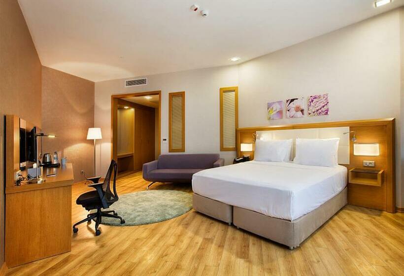 带大床的小型套房, Hilton Garden Inn Kocaeli Sekerpinar