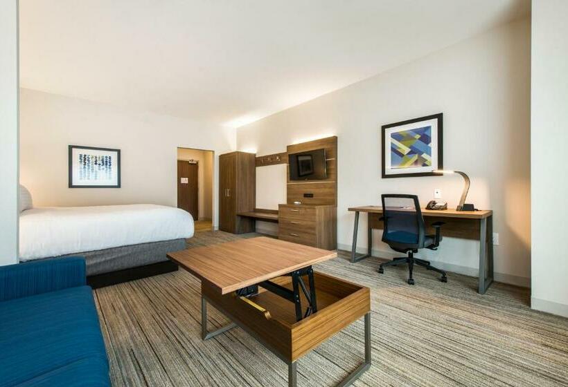 스위트 킹사이즈 침대, Holiday Inn Express & Suites   Carrollton West, An Ihg