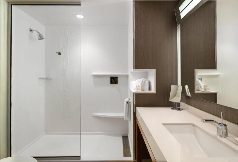Номер Deluxe с Видом, Courtyard By Marriott Erie Bayfront