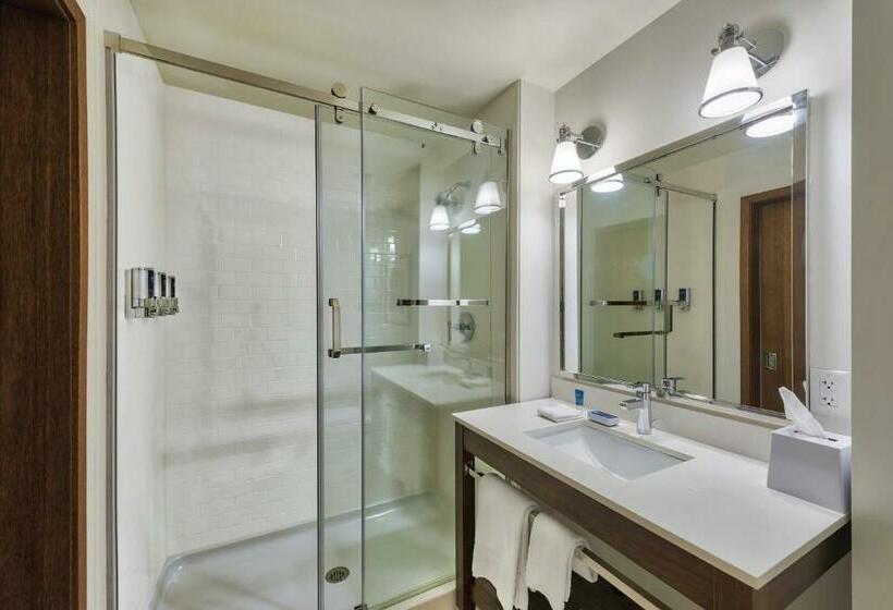 带大床的标准间, Four Points By Sheraton Houston Energy Corridor