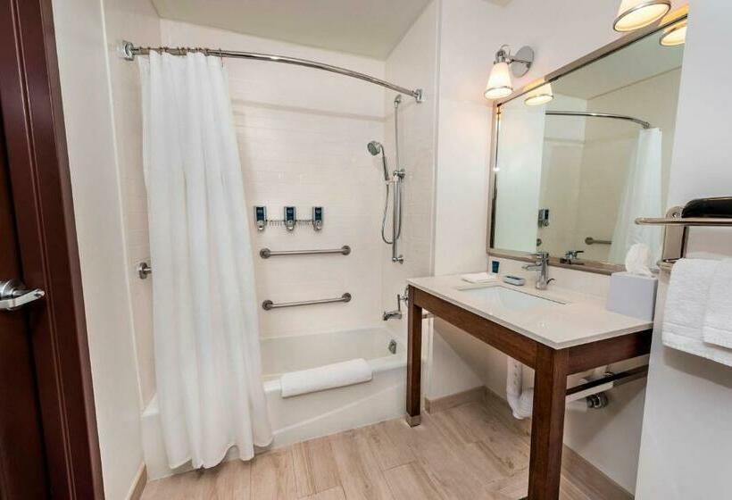 带大床的标准间, Four Points By Sheraton Houston Energy Corridor