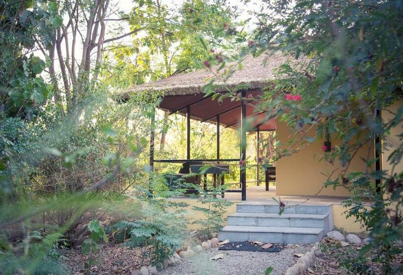 스탠다드 룸, Jim S Jungle Retreat