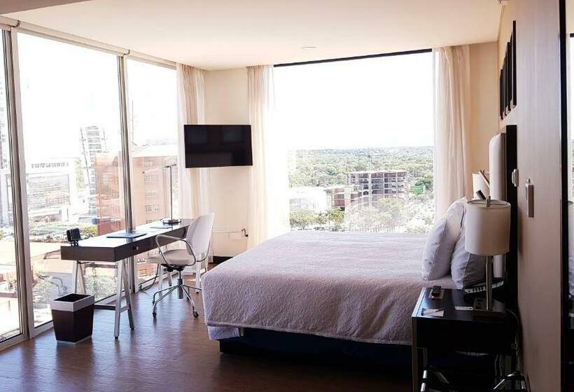 اتاق استاندارد با تخت بزرگ, Hampton By Hilton Santa Cruz/equipetrol, Bolivia