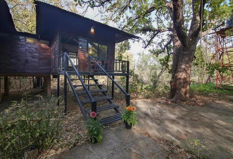 Люкс Повышенной Комфортности, Pench Wilderness Camp Resort