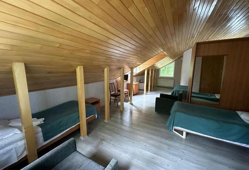 اتاق استاندارد سه تخته با بالکن, Nunisi Forest Hotel & Spa