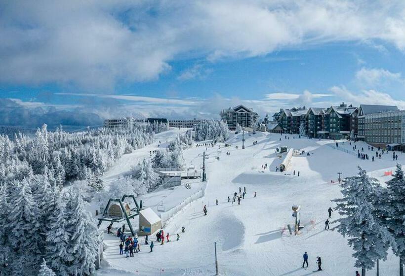 침실 1개 아파트, Allegheny Spg   Cozy Condo Ski From Our Patio