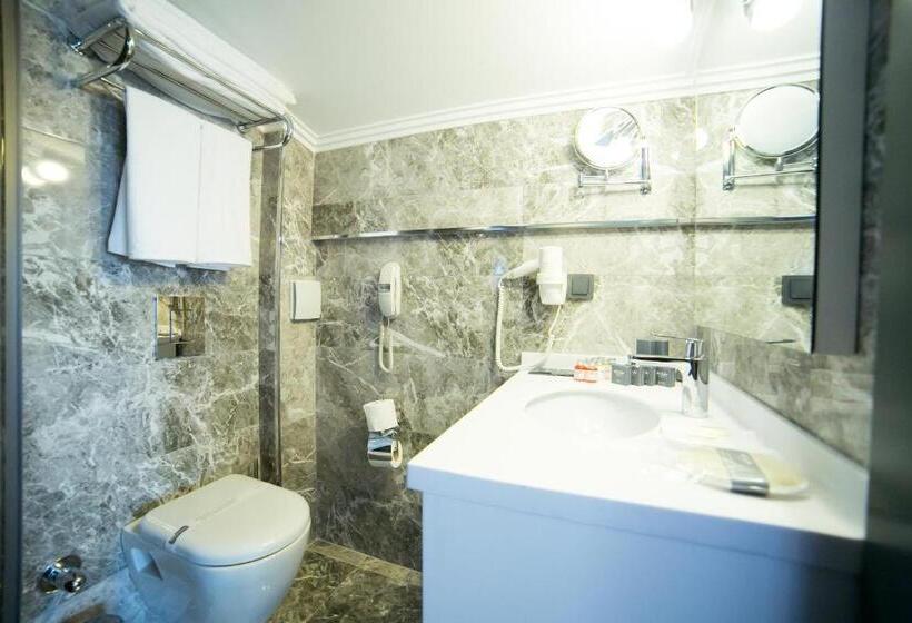 Büyük Çift Kişilik Yataklı Süit, Anka City