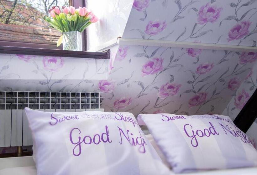 اتاق استاندارد با سرویس بهداشتی مشترک, Hostel Centar