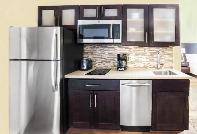 シティビューのスタンダードスタジオ, Staybridge Suites Baltimore   Inner Harbor, An Ihg
