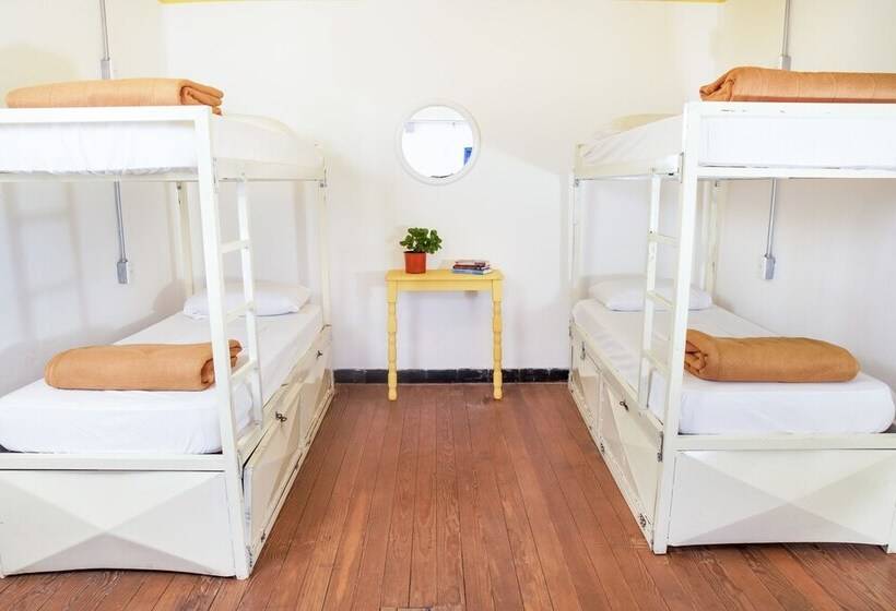 스탠다드 룸 공동 욕실, Viajero Colonia Hostel