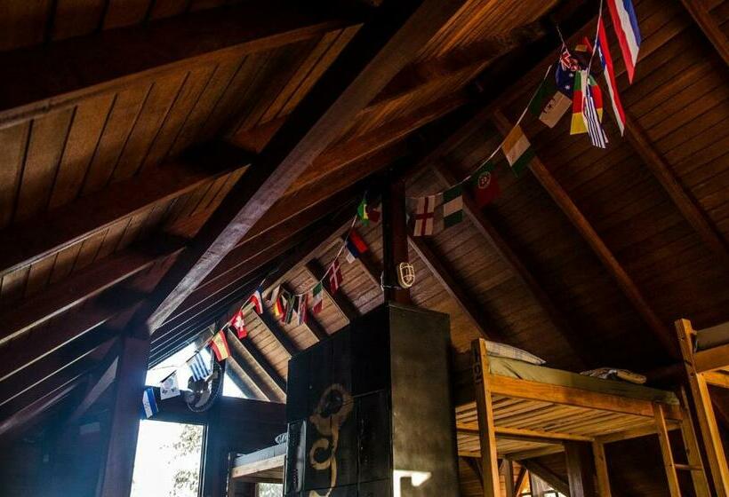 Кровать в Общей Комнате, Sagui Hostel