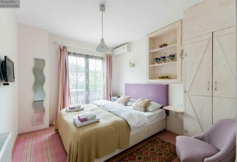 اتاق استاندارد, Agva Piazza Otel