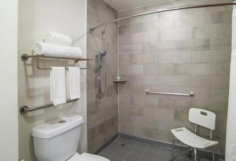 身障者適用キングサイズベッドルーム, Holiday Inn Express & Suites   Ciudad Obregon, An Ihg