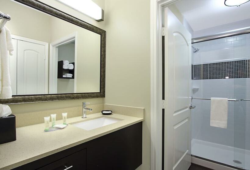 Люкс Адаптированный для Инвалидов, Staybridge Suites   Houston   Medical Center, An Ihg