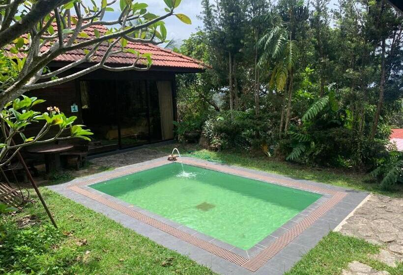 ツーベッドルーム　ヴィラ, Bao Sheng Durian Farm