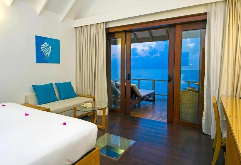 بانگلوی استاندارد, Summer Island Maldives Resort