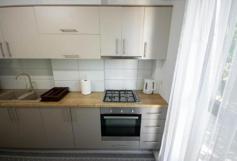 Апартаменты Deluxe 1 Спальня, Downtown Apartments