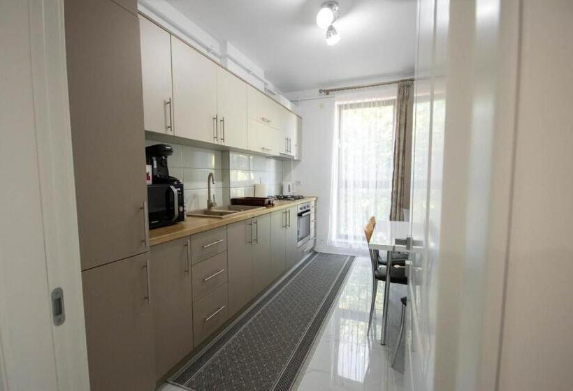 Апартаменты Deluxe 1 Спальня, Downtown Apartments