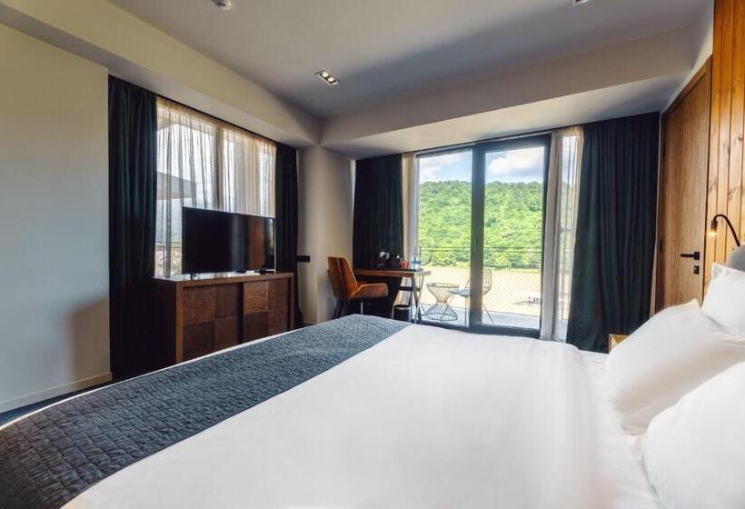 اتاق استاندارد برای معلولان, Kvareli Lake Resort