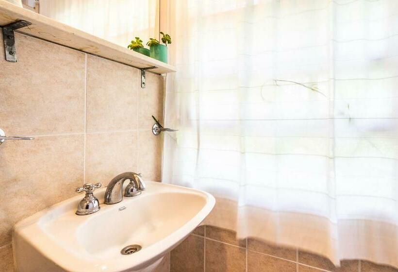 Номер Стандарт, Nautilus B&b