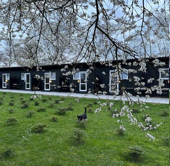 Номер Стандарт, Klokkehoej