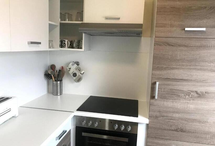 Апартаменты 1 Спальня, Appartment Hotel Garni Elisabeth