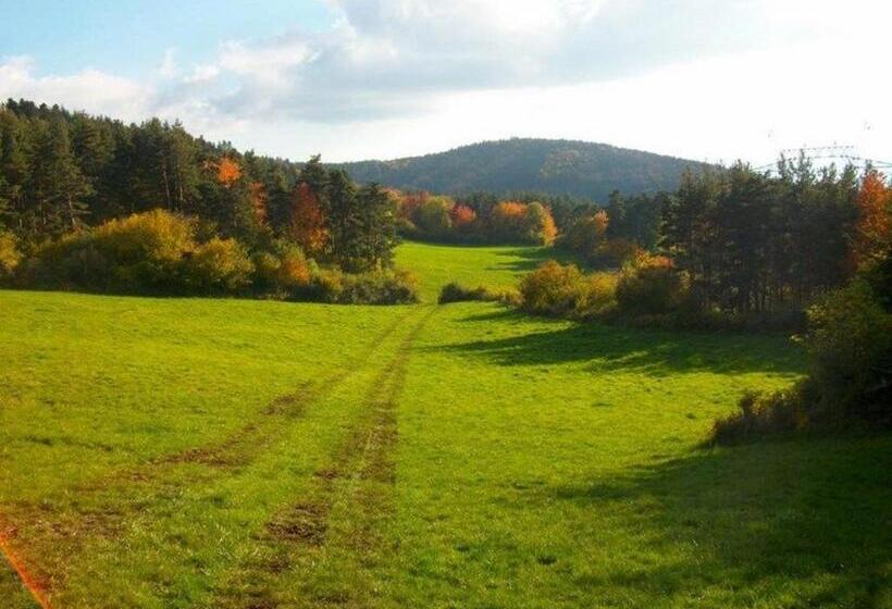 Номер Стандарт, Ferme Rénovée Avec Espace Bien être, Proche Des Gorges De L Allier Et Chemins De Compostelle   Fr 1