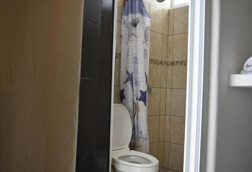 اتاق خانوادگی, Casa Apolonia