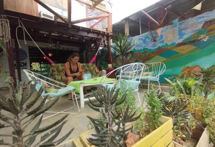 חדר סטנדרט לשלושה עם נוף לגינה, Surf Camp   Máncora