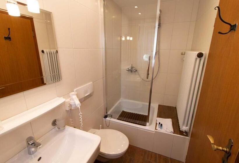 Номер Стандарт Трехместный, Kur  Und Ferienhotel Haser