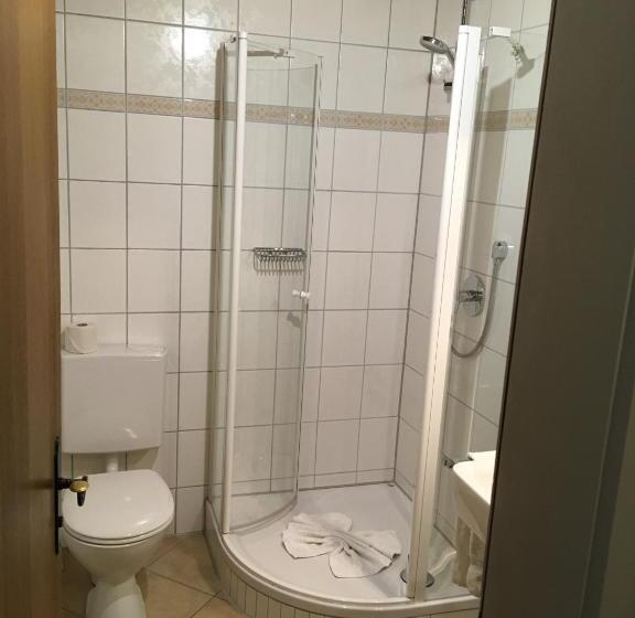 Номер Стандарт с Балконом, Kur  Und Ferienhotel Haser