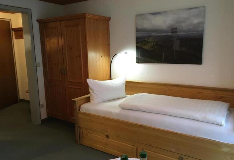 Номер Стандарт с Балконом, Kur  Und Ferienhotel Haser