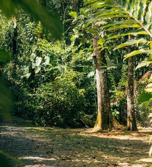 غرفة قياسية سرير كينج, Casa De Mono Bocas