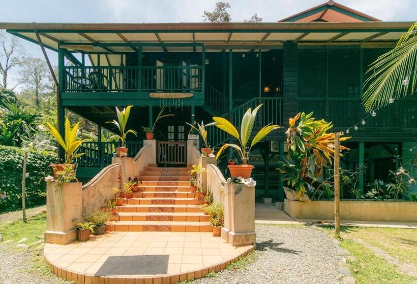 شقة 3 غرف, Casa De Mono Bocas