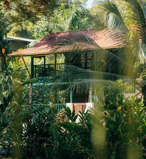 شقة ديلوكس غرفة واحدة, Casa De Mono Bocas