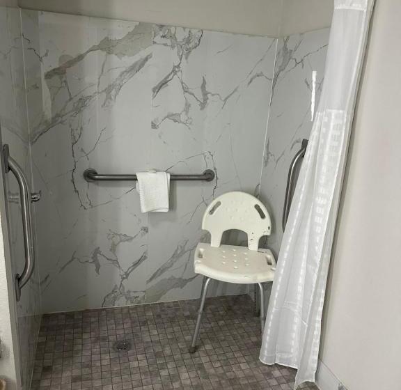 장애인을 위한 킹사이즈 침대 스탠다드 룸, Quality Inn