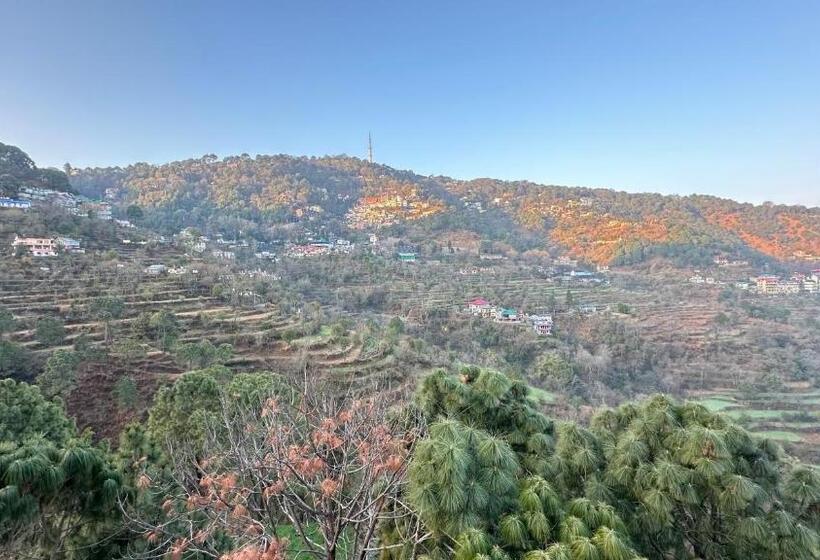 Номер Deluxe, F S Kasauli